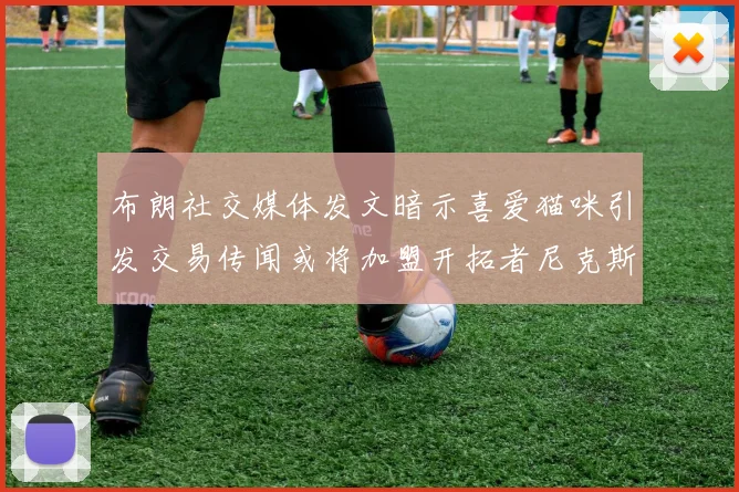 布朗社交媒体发文暗示喜爱猫咪引发交易传闻或将加盟开拓者尼克斯雷霆湖人